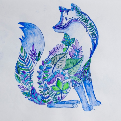 coloring - fox by 14 shades of grey
